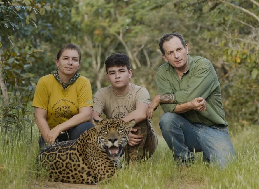 Família-celebridade que domesticava onças-pintadas é multada em R$ 452 mil por maus-tratos a 72 animais