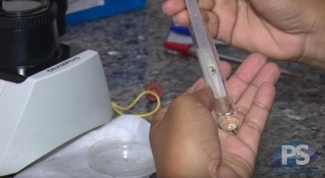 Número de mortes por dengue vai a 18; risco de transmissão é alto