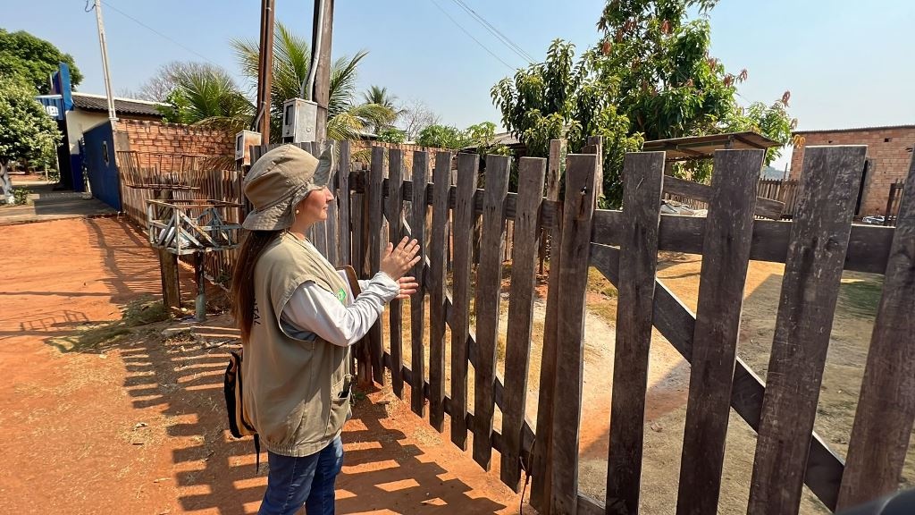Mutirão de combate à dengue avança em Sinop