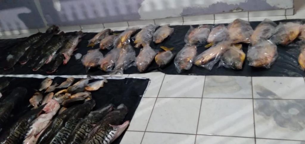 Polícia apreende 166 kg de peixes e multa pescador por falta de documentação