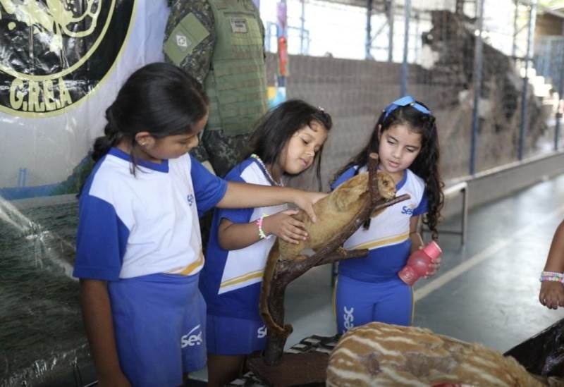 Biopirataria é discutida no Dia da Natureza por alunos do Sesc Escola Cuiabá