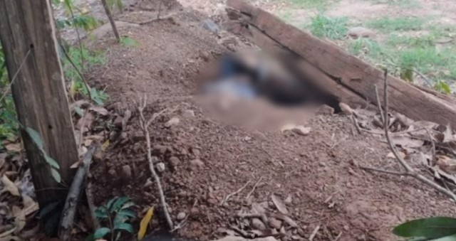 Corpo é encontrado degolado em estrada
