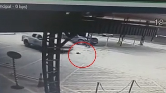 Camionete da SES de MT atropela gato em hotel e causa repercussão nas redes socais