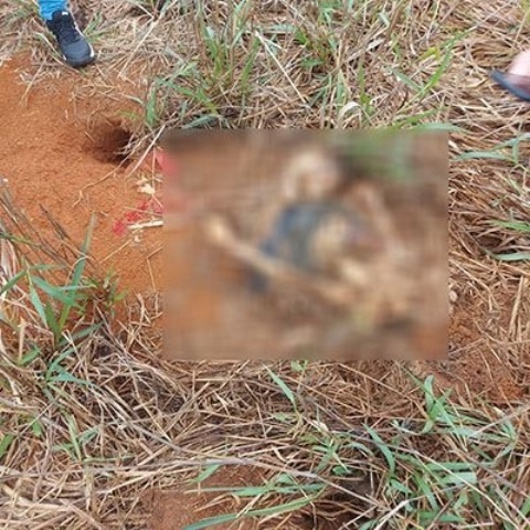 Ossada humana encontrada pode ser de garota de programa desaparecida