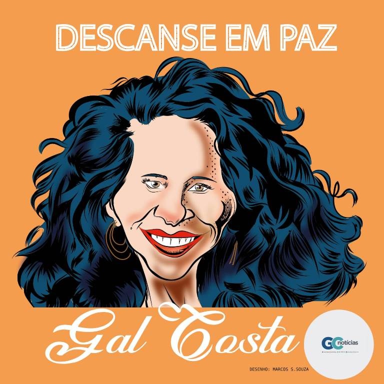 Adeus Gal Costa