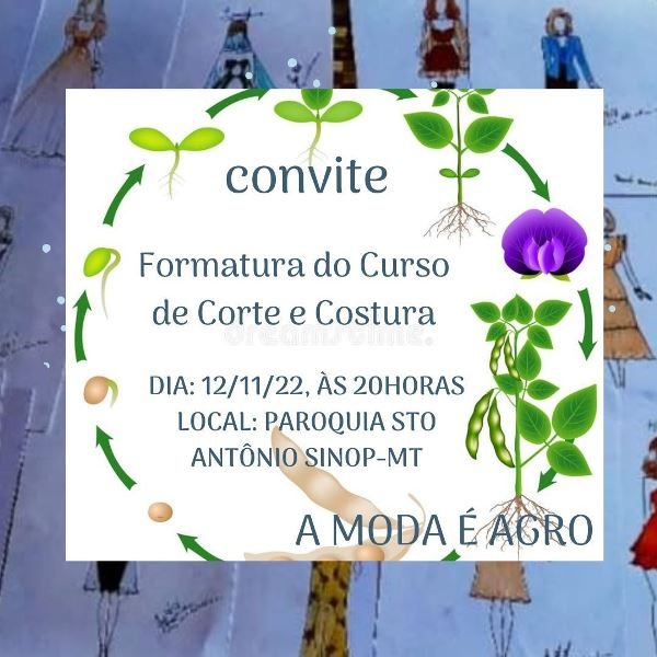 Paroquia Santo Antônio realiza formatura de curso solidário
