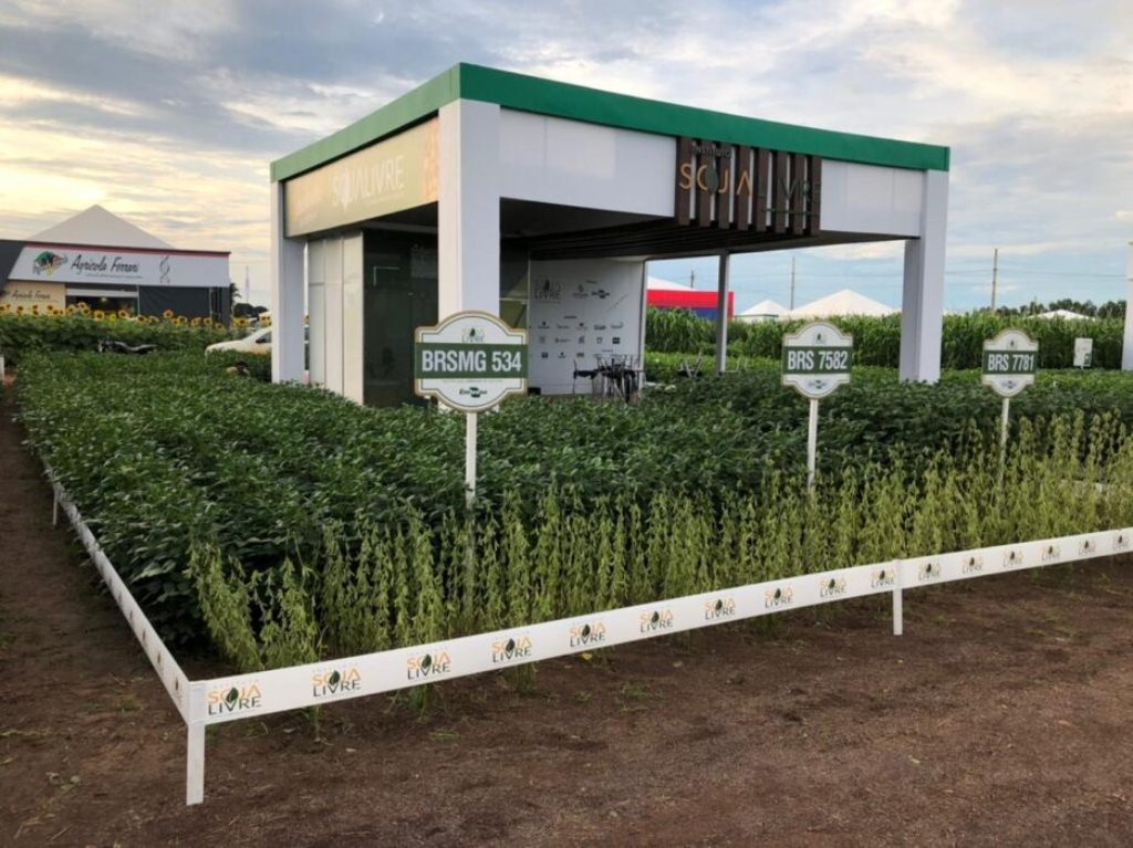 Em MT, agricultores se preparam para planejar safra de soja convencional de 2023/24