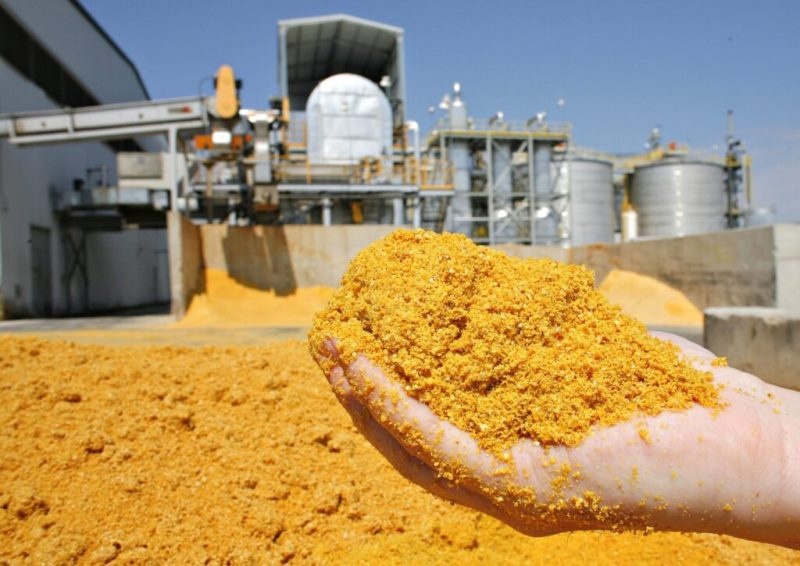 Setor do etanol de milho prospecta exportação de farelos de DDGS