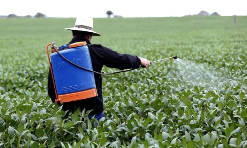 Alunos de escola rural são intoxicados com agrotóxico em Sinop