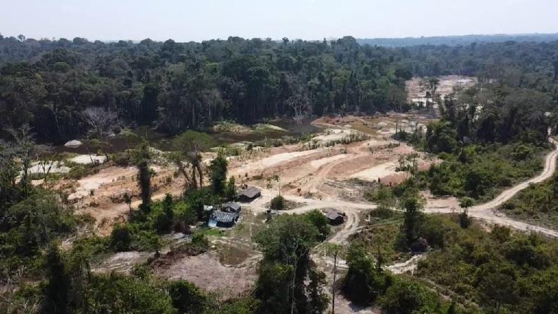 Batalhão Ambiental aplicou R$ 317 milhões em multas de crimes contra a natureza em 2022
