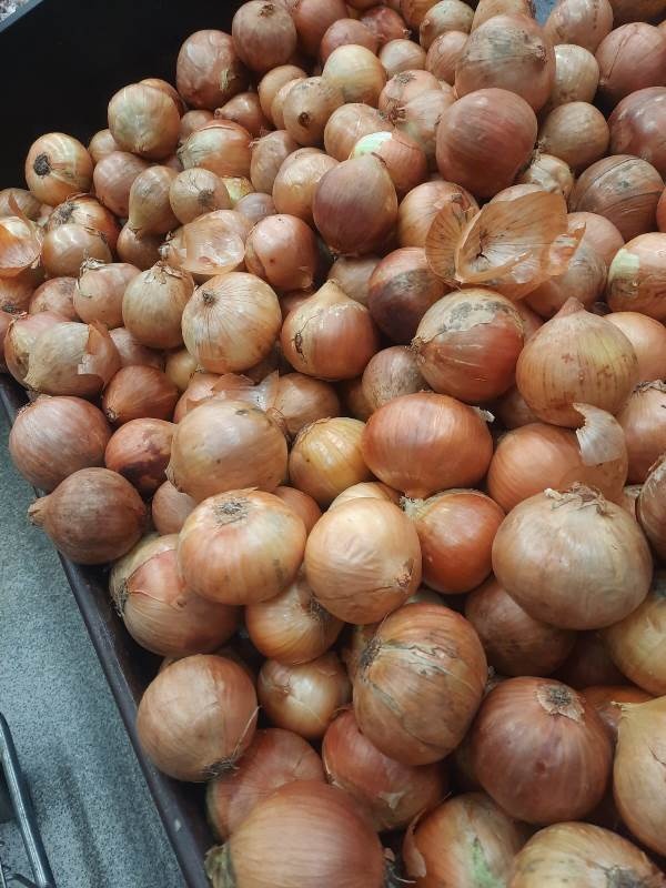 O que está acontecendo com a cebola?