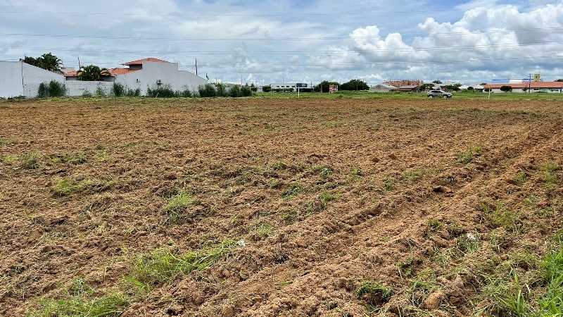 Prefeitura avança na limpeza de áreas verdes e institucionais