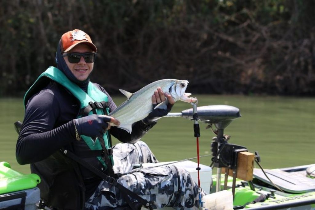 Sinop se fortalece como destino para a prática da pesca esportiva em MT