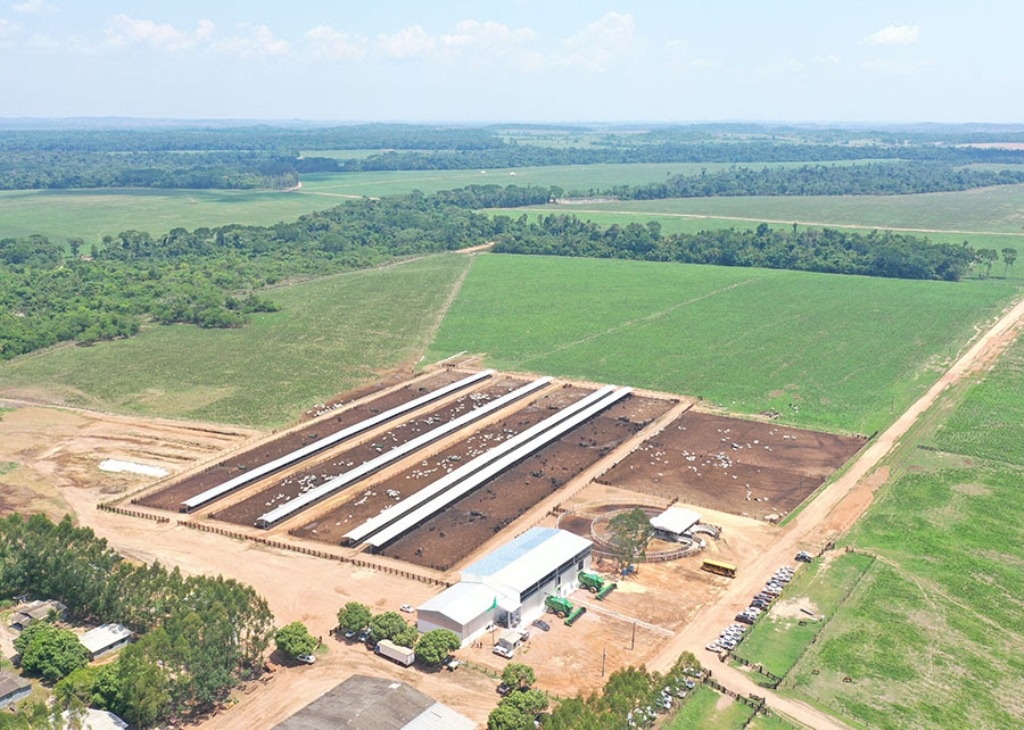 Com integração lavoura-pecuária, novo sistema intensifica a produção animal