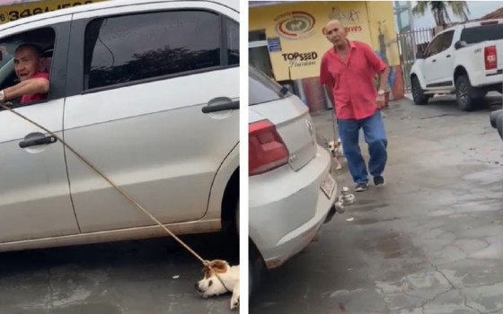 Ex-vereador que foi flagrado arrastando cadela pela rua ganha liberdade provisória