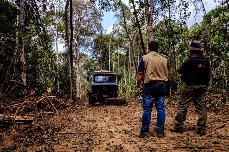 Mato Grosso é o estado que mais age no combate ao desmatamento, aponta MapBiomas