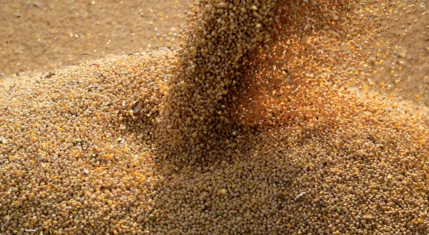 Mato Grosso desbanca Argentina e se torna 3º maior produtor global de soja