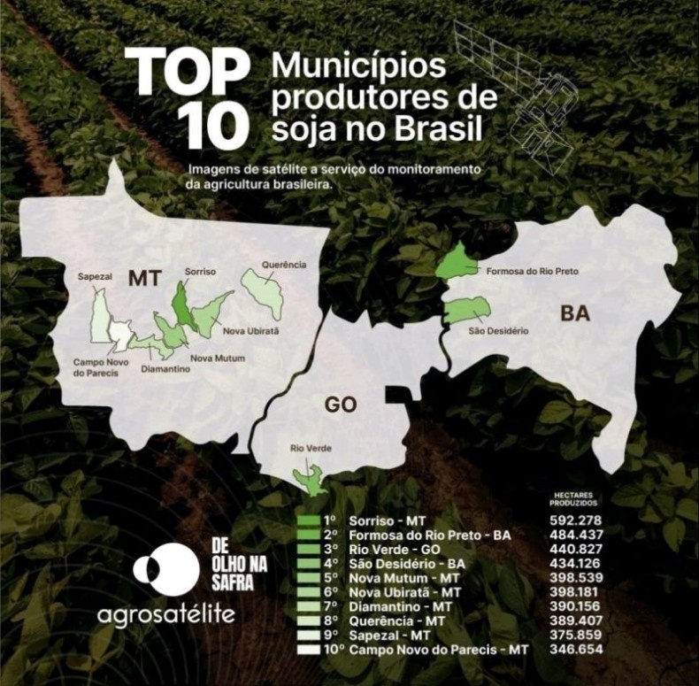 Sorriso lidera ranking de maior produtor de soja no Brasil