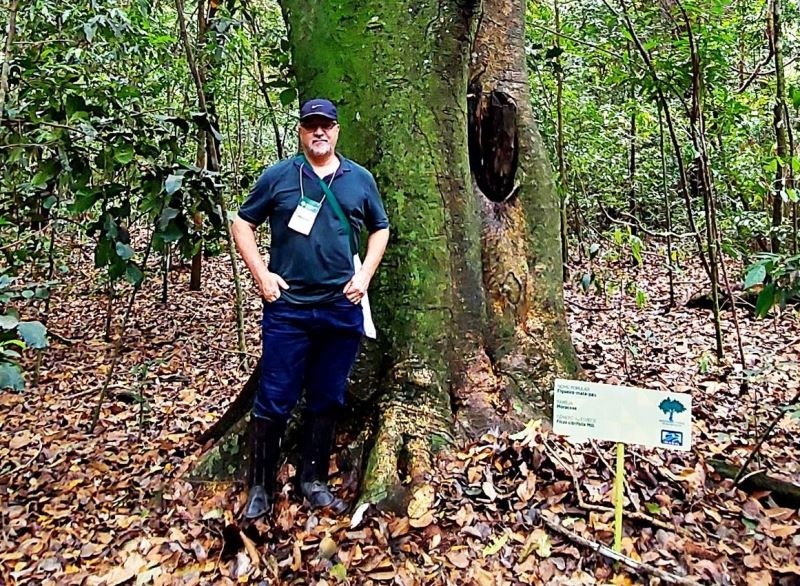 Sinop na Sociedade Brasileira de Arborização Urbana