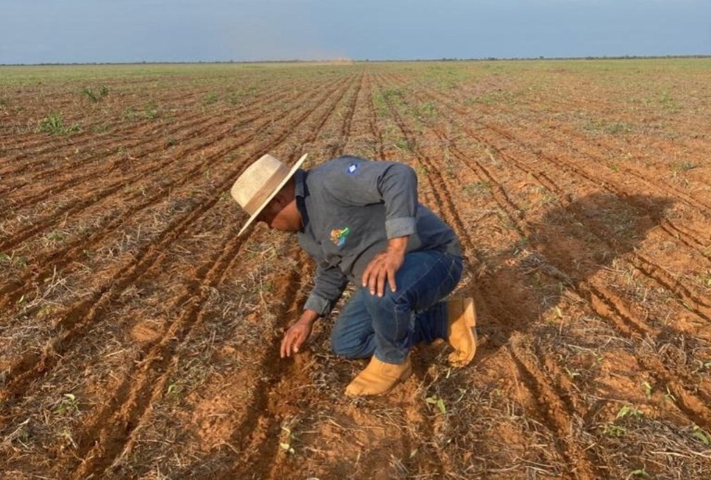 Condenações aplicadas à Aprosoja e produtores somam R$ 16 milhões