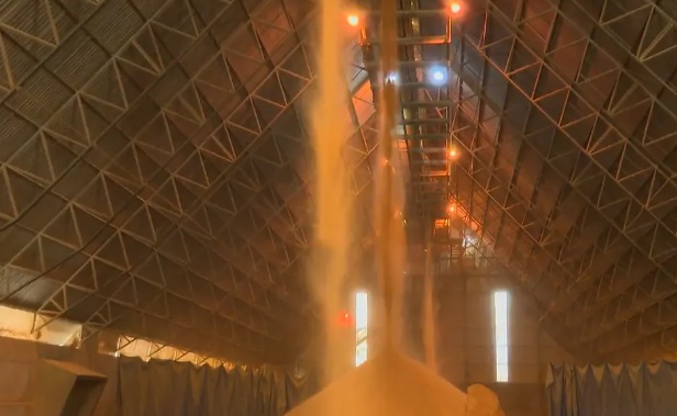 Produção de etanol de milho deste ano deve passar de 46 milhões de toneladas em MT