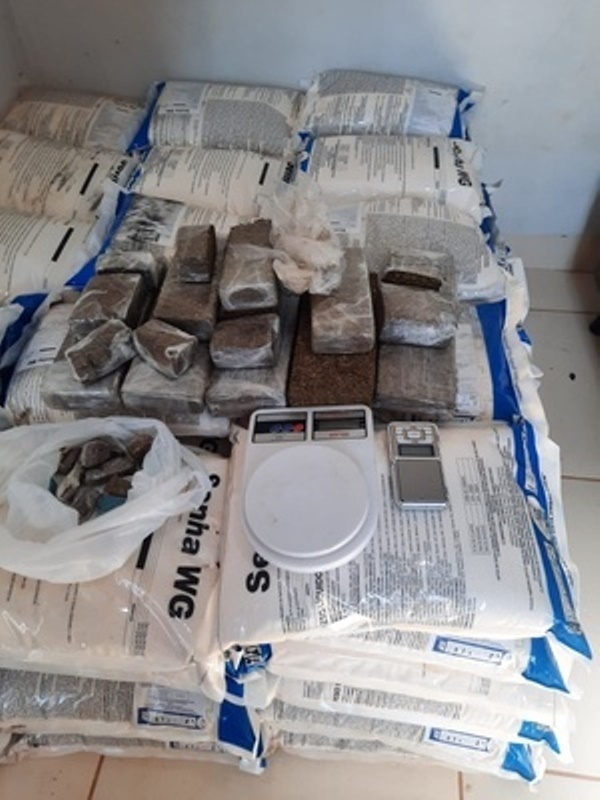 DERF apreende 10kg de maconha e defensivos agrícolas em Sinop
