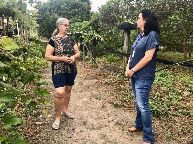 Estudo faz diagnóstico da diversidade de plantas nas chácaras de Sinop