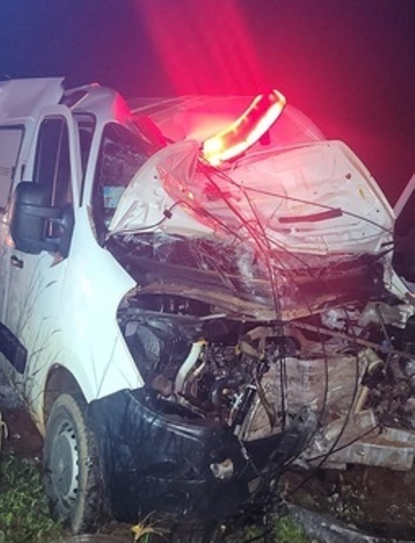 Ambulância bate em anta que atravessava MT-423 entre Sinop e Cláudia