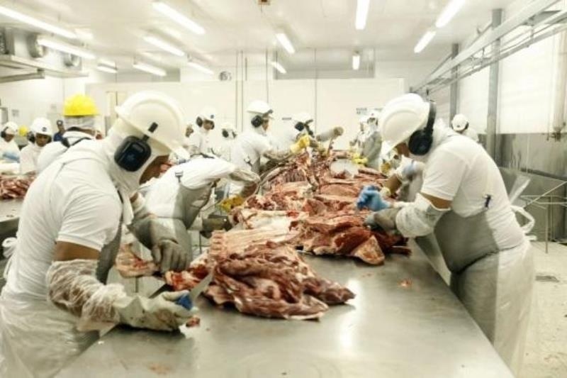 Mesmo com embargo, MT supera a média de exportação de carne em março