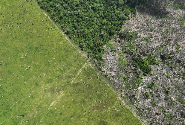 Desmatamento na Amazônia triplica em março; trimestre é o 2º pior desde 2008, aponta relatório do Imazon