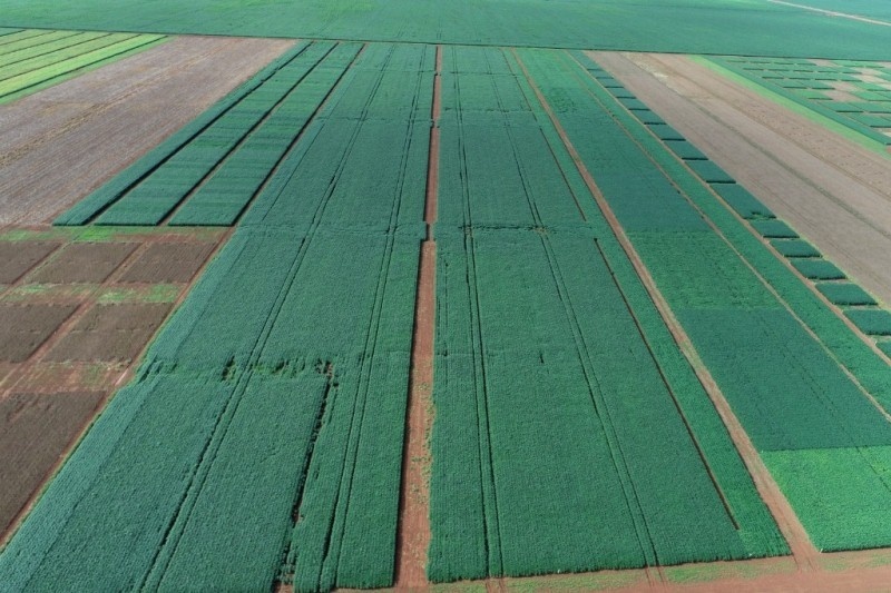 Utilização de bioinsumos nas lavouras aumenta em até 8 Sc/Ha