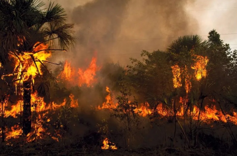 Quase metade do território mato-grossense foi destruído pelo fogo em quase 4 décadas