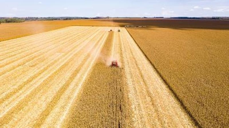 Valor Bruto da Produção Agropecuária de 2023 é estimado em R$ 1,216 trilhão