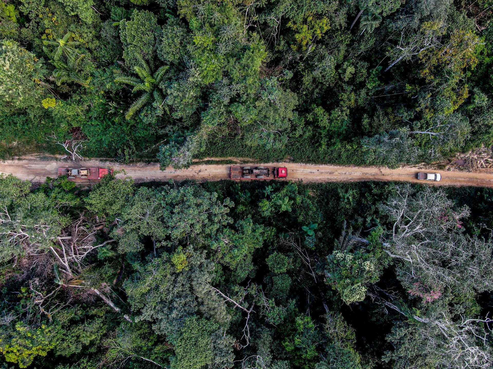 Estado aluga aeronaves para enfrentar incêndios e desmatamento