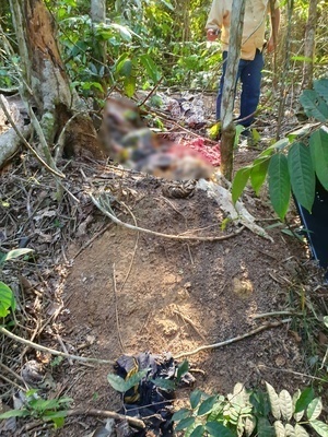 Sinop: Corpo em avançado estado de decomposição é encontrado em mata
