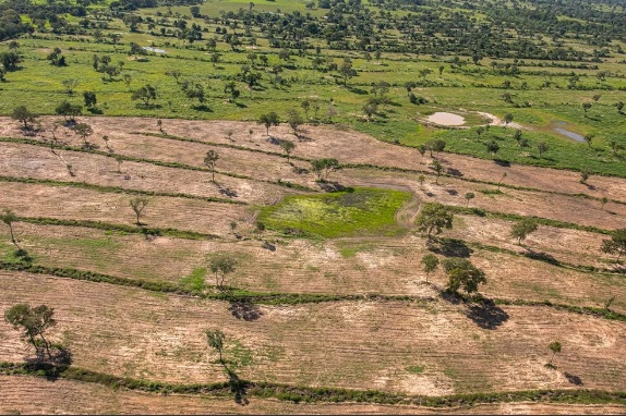 MT derruba 9,5 mil hectares de floresta em três anos e segue como 3º estado que mais desmatou no país