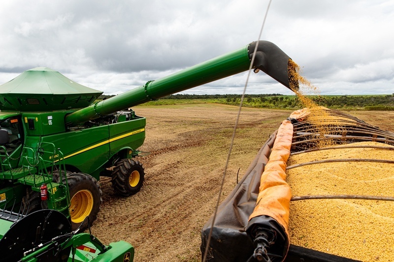 Mato Grosso é responsável por um terço da produção da safra de grãos brasileira