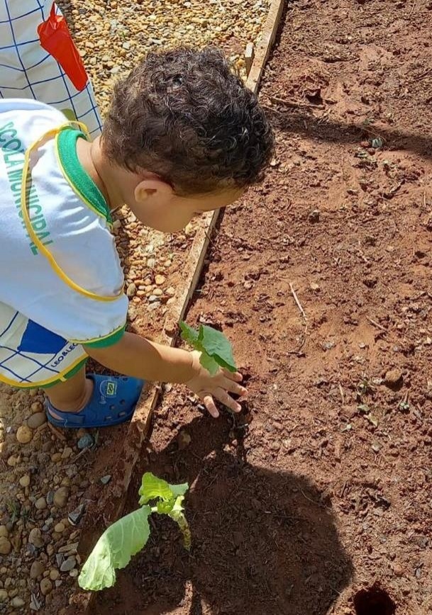 Hortas implantadas em escolas de Sinop agregam no conhecimento e na alimentação dos estudantes