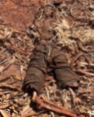 Ossada humana é encontrada em fazenda em Santa Carmem