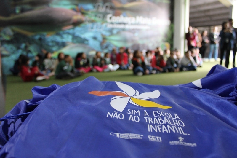 Mato Grosso é o terceiro Estado do País com mais ações de combate ao trabalho infantil