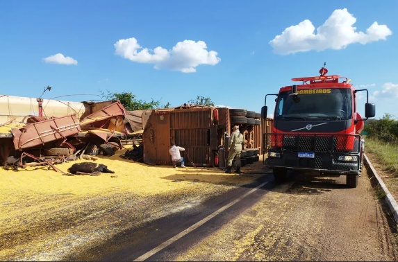Mais de 20 bois morrem após carreta tombar na BR-158 em MT
