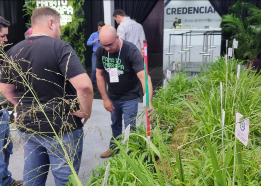 Embrapa vai montar ‘vitrine’ no Shopping Sinop