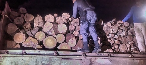 PM prende três homens e apreende caminhão carregado com madeira irregular