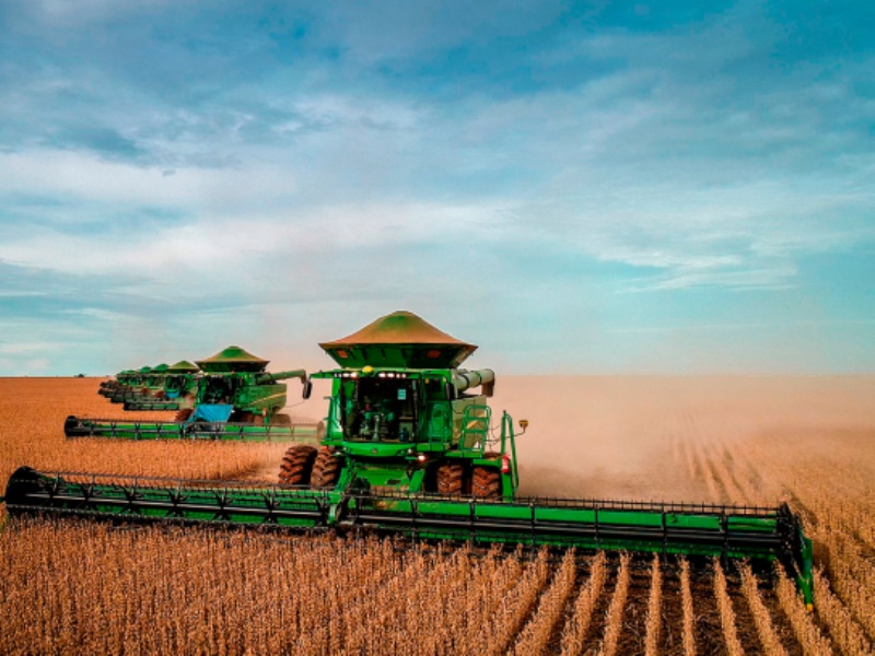 Dia do Agricultor: reconhecimento aos profissionais do campo