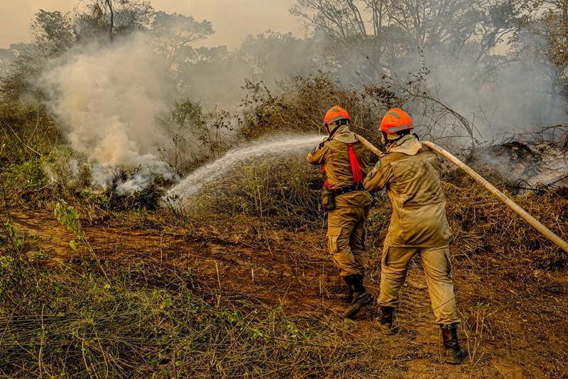MT quadruplicou investimentos em ações de prevenção e combate a incêndios desde 2020