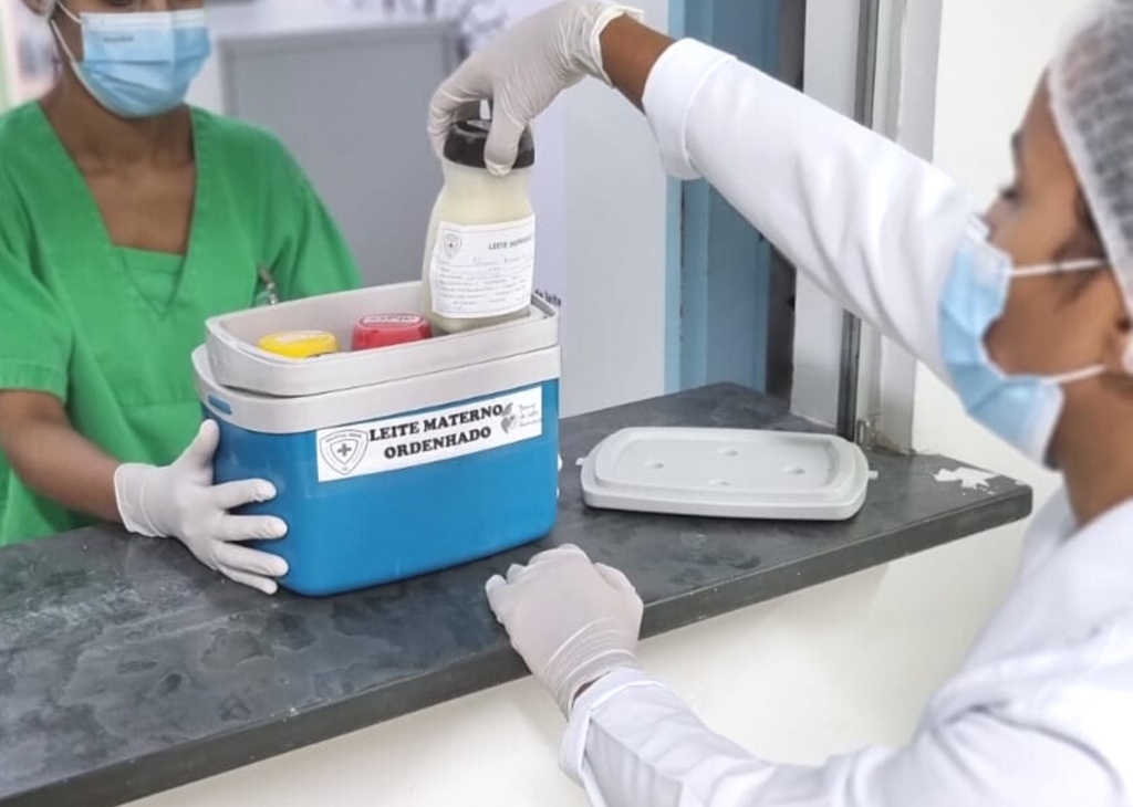 Coleta de leite humano beneficiou mais de 800 bebês prematuros