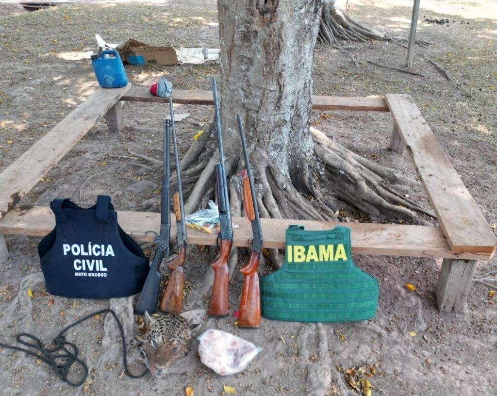 Polícia Civil prende suspeito de matar onças-pintadas em Paranaíta