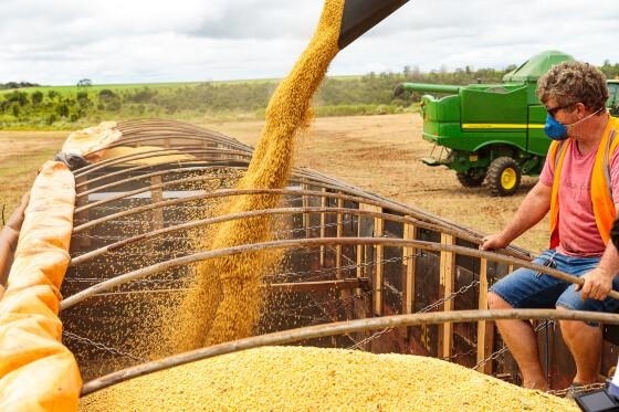 Com 100 milhões de toneladas, MT deve produzir um terço da safra brasileira de grãos