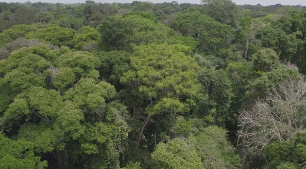 Senado debate nesta semana projeto que cria limites de emissão de gás