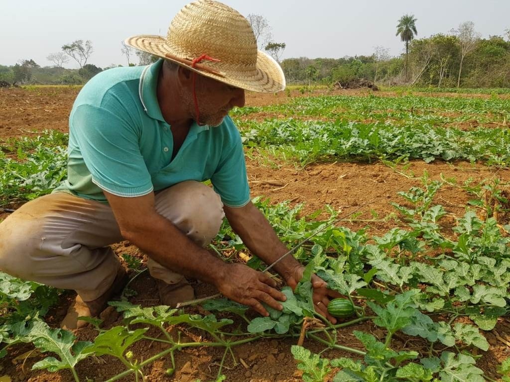 Em atividade há 59 anos, Empaer atende mais de 30 mil agricultores de MT por ano